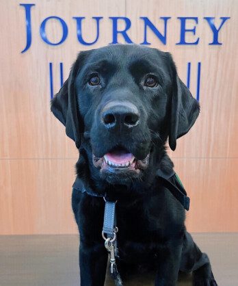 Henry the service dog smiling infront of the Journey Club sign